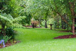 Mt Glorious Getaways - 2