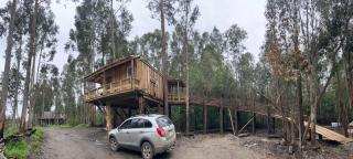 Casa en Bahía del rio Maule, naturaleza, tranquilidad, pet friendly - 4