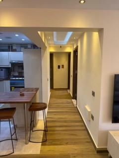 Jacuzzi & Balcony Rehab Apt Near Top Malls & Dining - 4