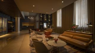 The Morrison Dublin, Curio Collection by Hilton - 3