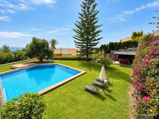 Villa Los Gallos - 0
