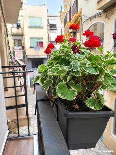 Apartamento Estudio Balcon - 3