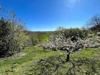 Vacation home in Monferratoo - 7