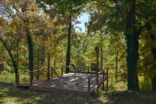 Sleeps 12, Wooded Lot, Near Ark, Great for Family - 9