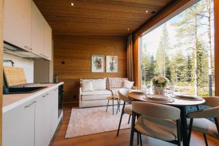 Arctic Forest Hideaway with Private Sauna - 7