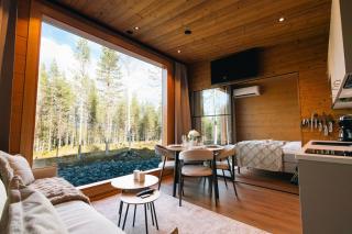 Arctic Forest Hideaway with Private Sauna - 8