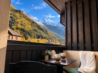 Superbe 2 pièces, centre vue Mont-Blanc avec balcon et parking gratuit - 9