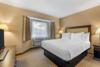 Best Western Plus Emerald Isle Hotel - 1