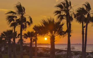 Hilton Skanes Monastir Beach Resort - 6
