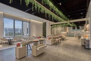 Hilton Garden Inn Bengaluru Embassy TechVillage Outer Ring Road - 2