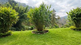 Paipaknak Mountain View Resort ไปปากนัก เมาเท่น วิว รีสอร์ท - 1