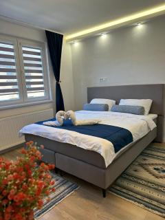 Apartment Lobelia Old Town - 0
