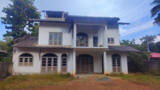 Sayara Basecamp Hostel Sigiriya - 1