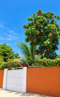 Aldjana Tao Lodge -  - 9