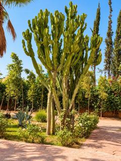 Villa Kesh Evasion Marrakech - 5