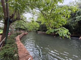 Paradise Rio Quente 4QTs - 6