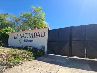 La Natividad - 1