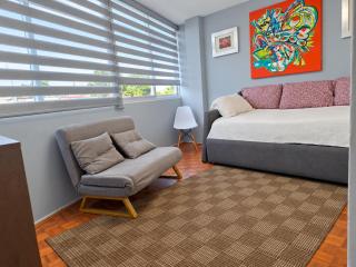 Mexicaníssima 4BR, 4 to 11 guests in Coyoacán - 1