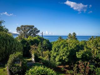 F2 Okairi Jardin Parking et Proche Plages St Pierre - 7