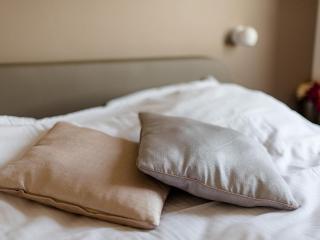 Coq au lit - 1
