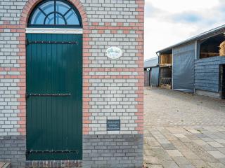 Farmhouse Retreat for 20 Guests in Snelrewaard - 4