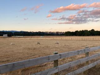Paddock to Peaks - 9