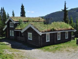 4 star holiday home in Fåvang - 0