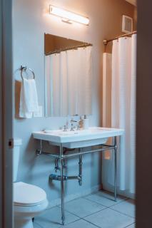 Swank House- Downtown Suite-Pet Friendly - 2