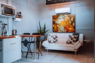 Swank House- Downtown Suite-Pet Friendly - 3