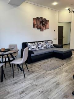 Comfortable 3 Bedroom Apartment - 6