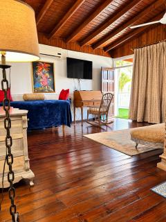 Cozy 3 of 5 Apartment Penthouse in the Heart of Ochi - Ocho Rios - 8