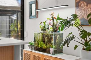 Mudjimba Beachside Oasis - 7