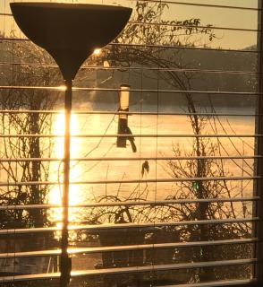 Lake Sammamish Lakefront 2BR with Hot Tub and Peloton - 2