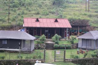 Kausani Jungle Camp - 6