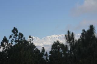 Kausani Jungle Camp - 5