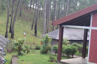 Kausani Jungle Camp - 3