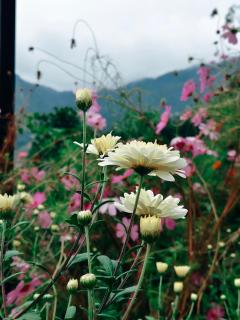 Hidden Trails Ramgarh - 6