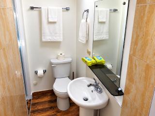 Cozy 5 of 5 Apartment in the Heart of Ocho Rios - 5