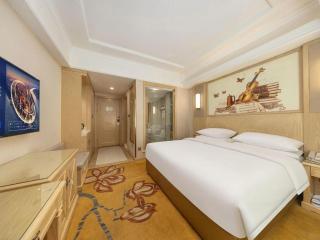 Vienna Hotel Qinghai Yushu Tangfan Avenue - 7