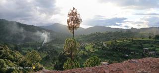 Ekdanta village view homestay darima - 1