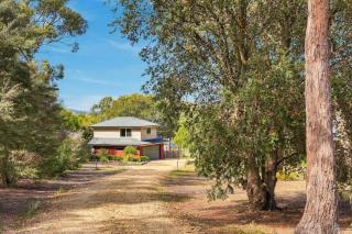 Cosy Bush Studio Near Airport - 0