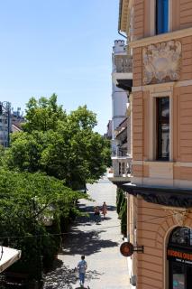 "La Belle Époque" Downtown Debrecen, Historic Apartment ,Boutique Stay, Private Salon - 9