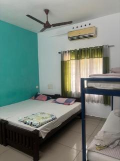 Nest - 3