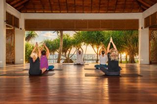 Siddhalepa Ayurveda Resort - All Meals, Ayurveda Treatment and Yoga - 7