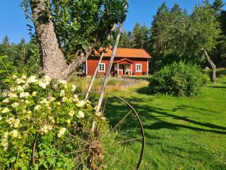 Fridfull lantlighet utanför Flen - 0