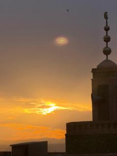 Skilfo housse - Fez - 9
