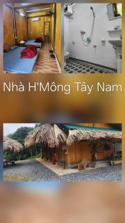 Trạm Thẩm Lé Homestay - 2