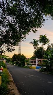 Countryside Homestay - 9