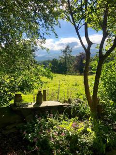 Apple Tree Cottage - 6