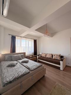 Louie's apartament - 2